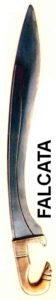 falcata00000222222200001