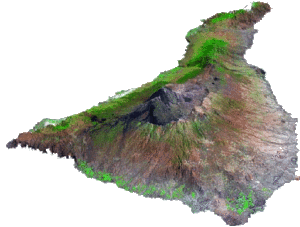 tenerifecopia