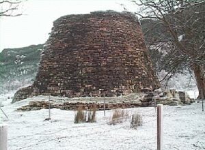 broch_talvi