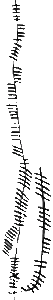 newton-ogham