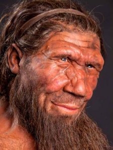image_1734-neanderthal-dna